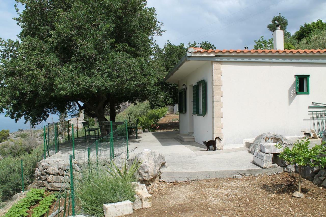 Villa " Davorka" Podgora Ngoại thất bức ảnh