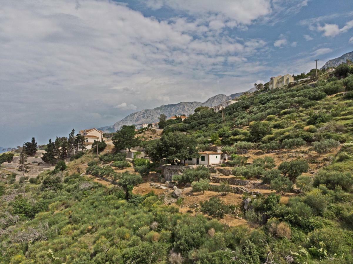 Villa " Davorka" Podgora Ngoại thất bức ảnh